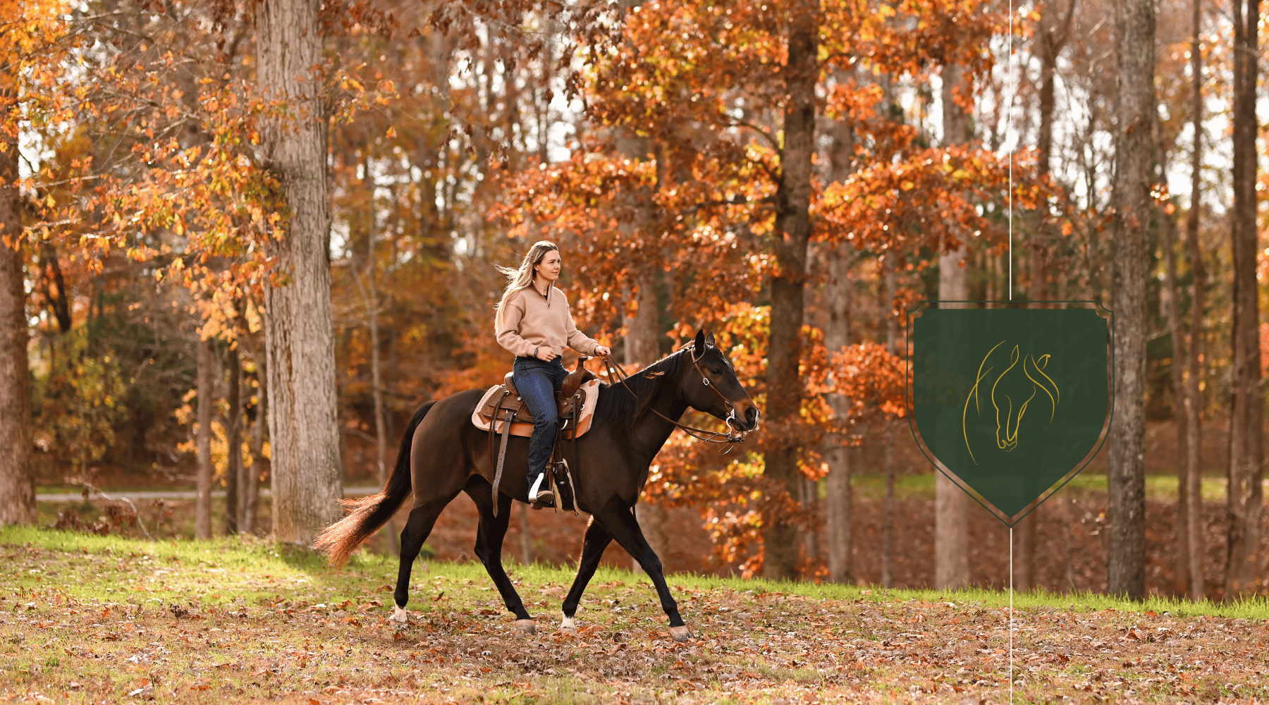 How Far Can a Horse Travel in a Day? Exploring Equine Endurance