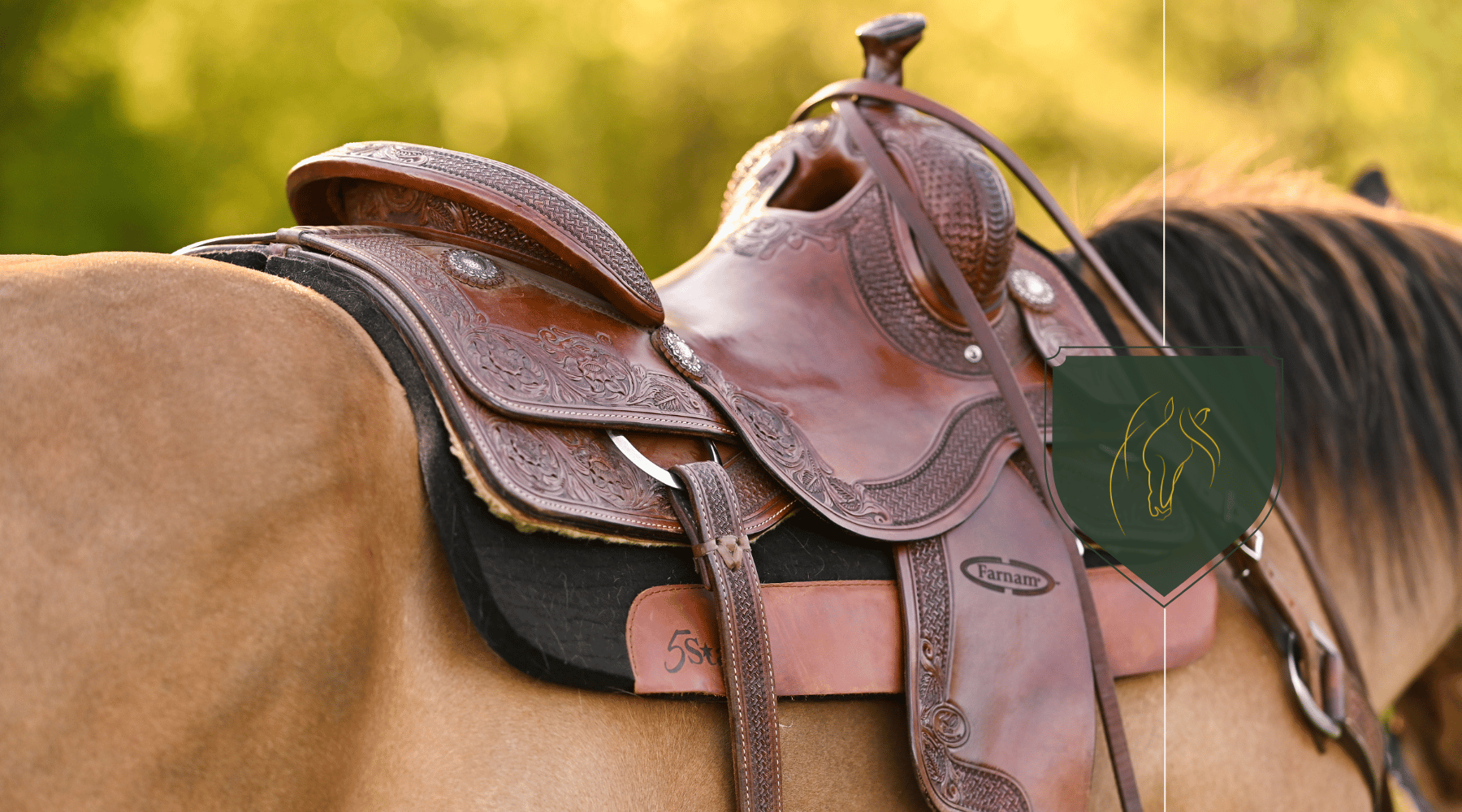 Horseback Riding While Pregnant: Safe Practices & Alternatives