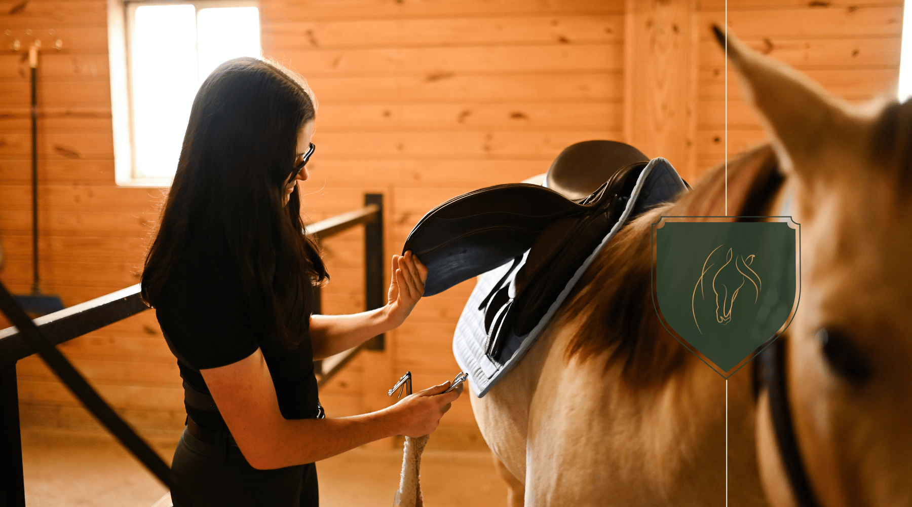 How Much Does a Horse Cost? Understanding Horse Ownership Expenses