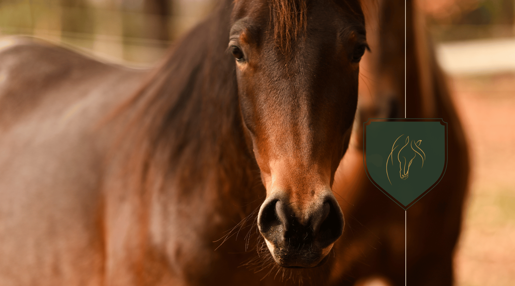 Can Horses Eat Strawberries? A Guide to Safe Fruits for Your Equine Friend