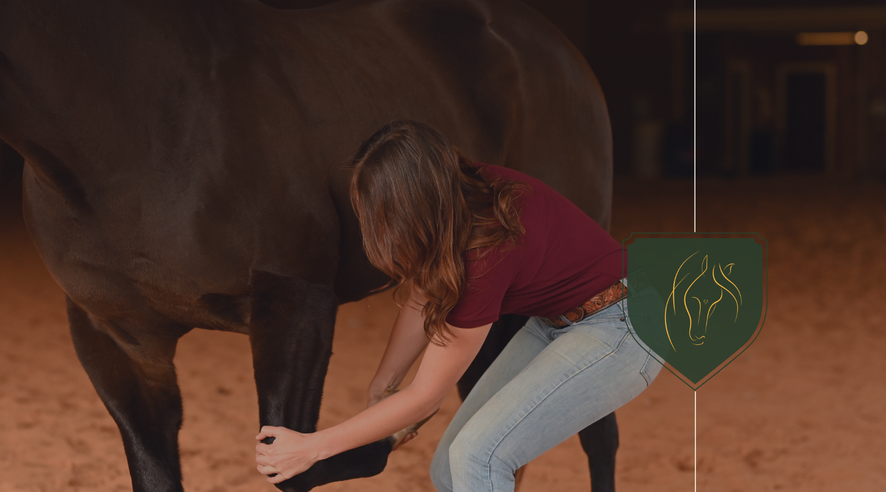 A New Therapy to Look at the Body-Integrating the Structure of the Horse.