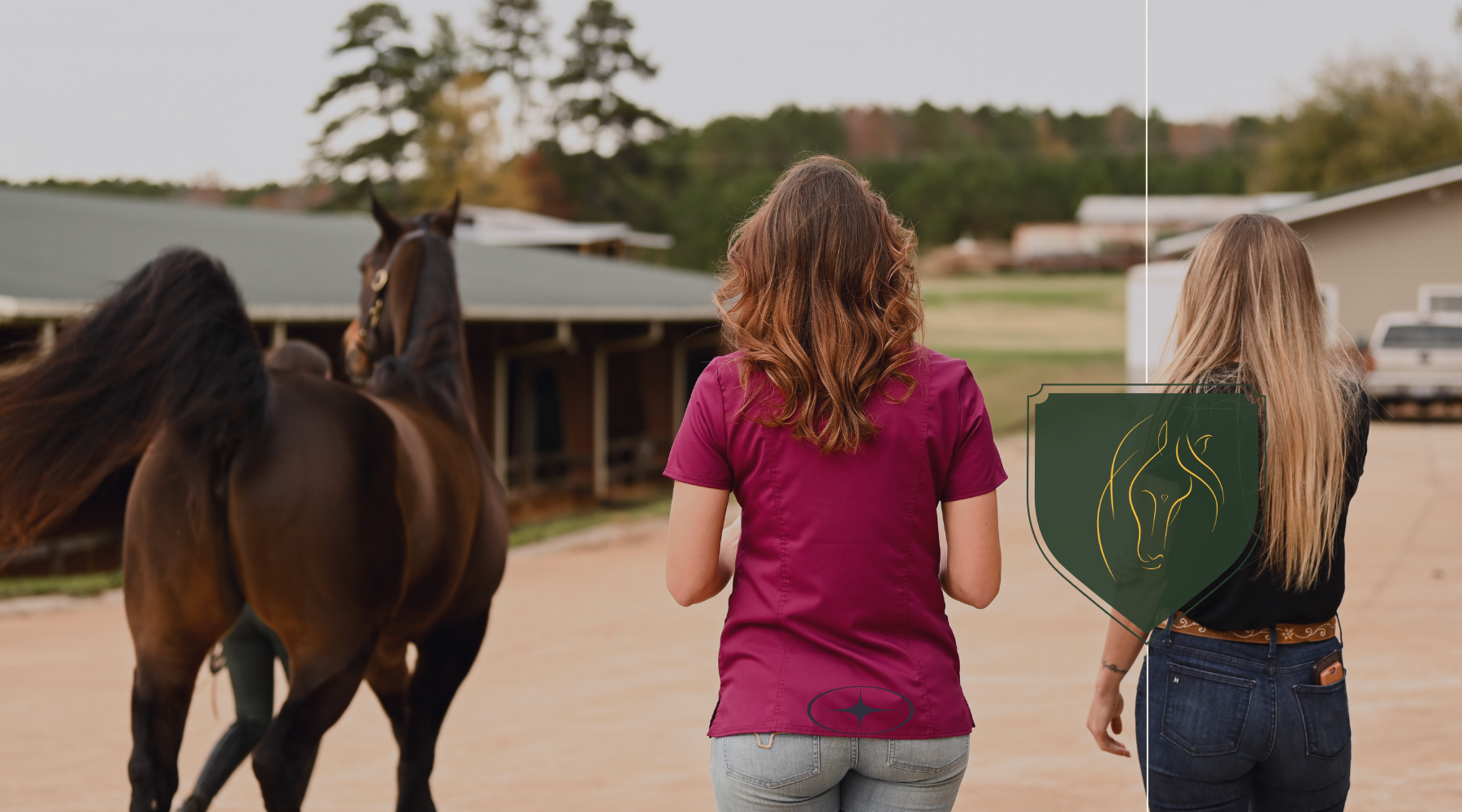 The Next Generation of Equine Professionals Starts Here: Why Young Horse Lovers Need Science Education Now