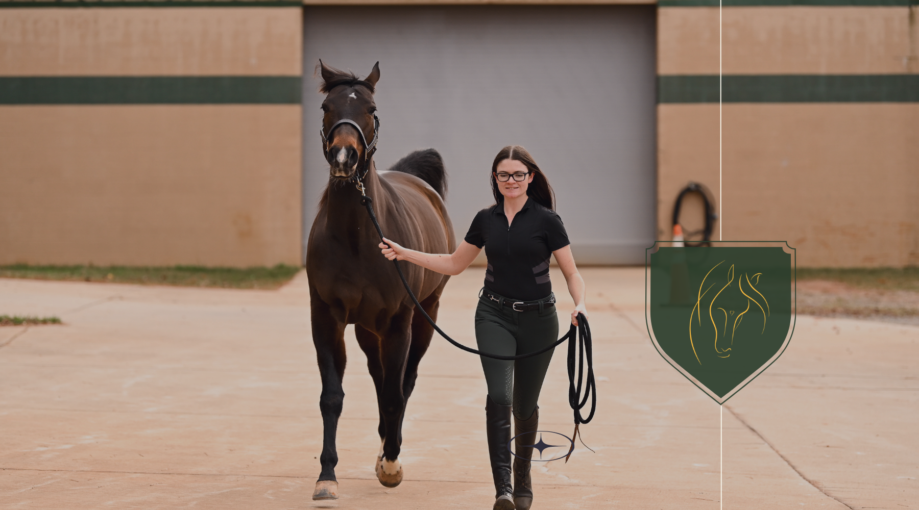 Why Equine Vet Techs Are the Most Important People in Horse Health Right Now