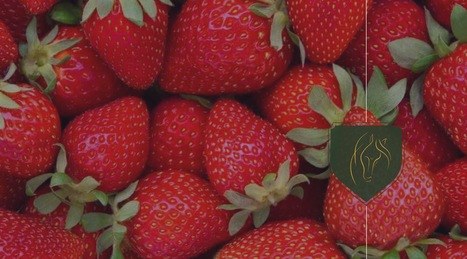 Can Horses Eat Strawberries? Safe Feeding Tips & Advice