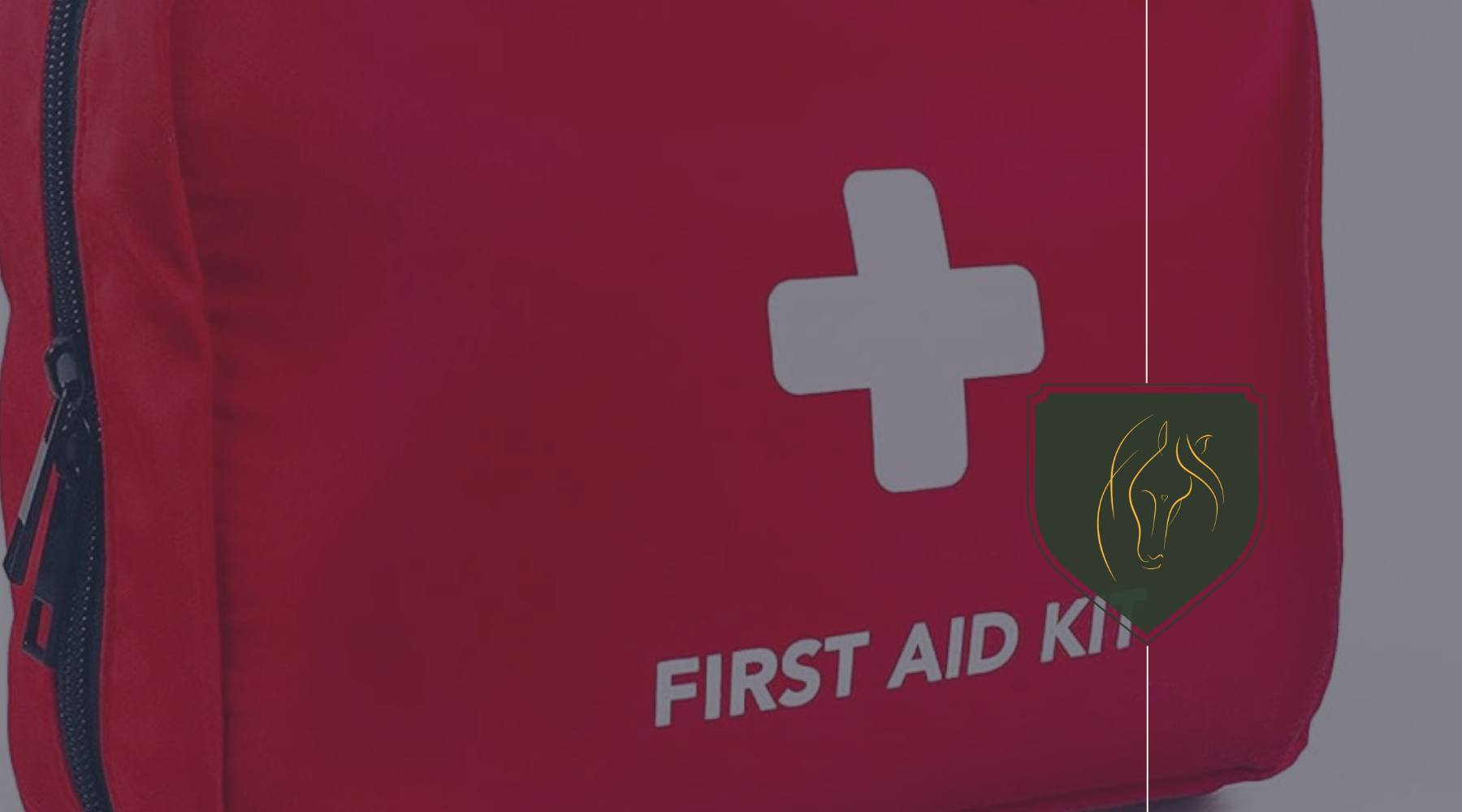 Choosing the Right Supplies for Your Horse First Aid Kit