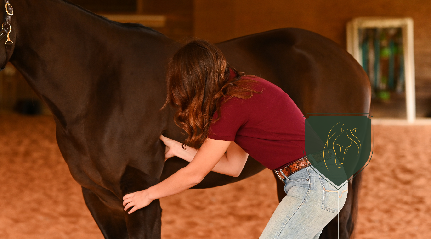 Comparing Different Equine Bodywork Techniques: Which is Best for Your Horse?