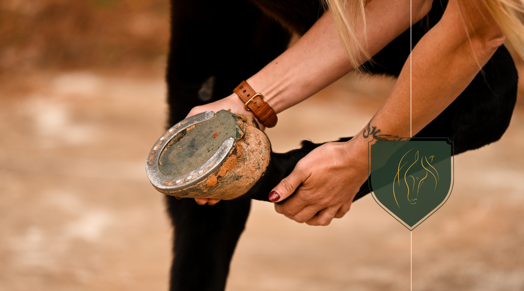 Expert Tips for Treating Hoof Ailments & Boosting Horse Health