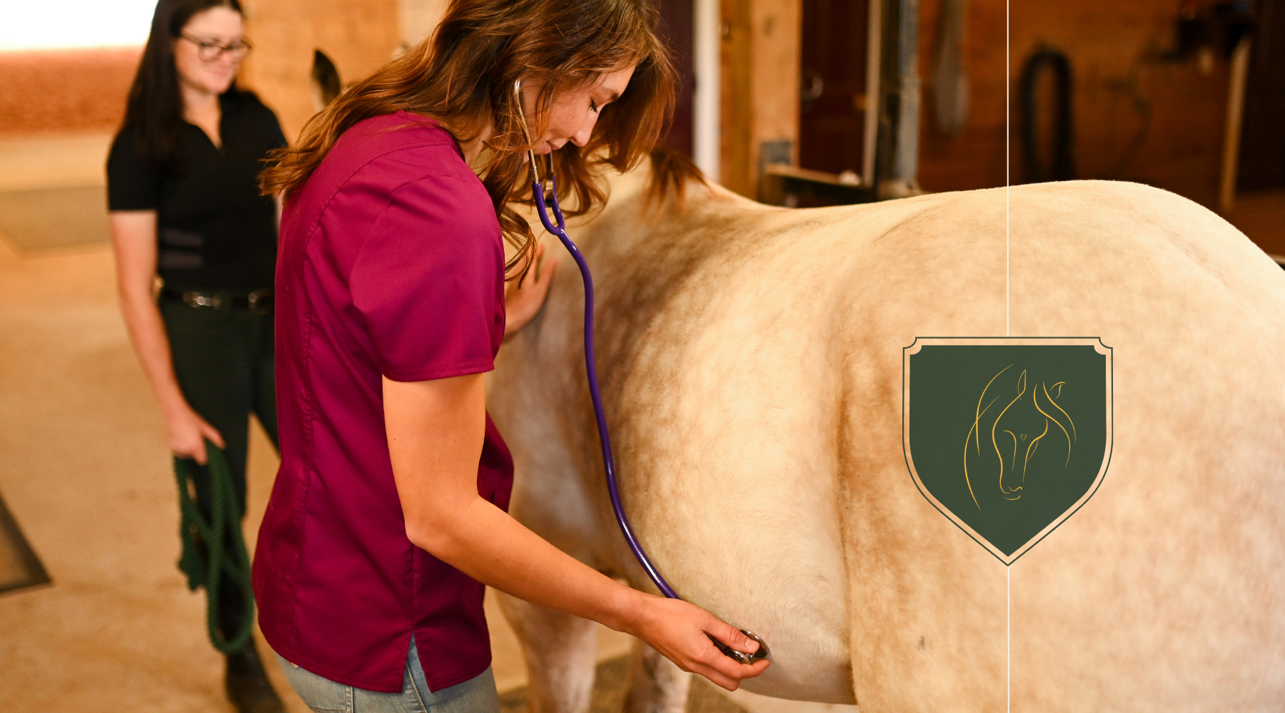 Horse First Aid Essentials: Be Prepared for Equine Emergencies on and off the Trail