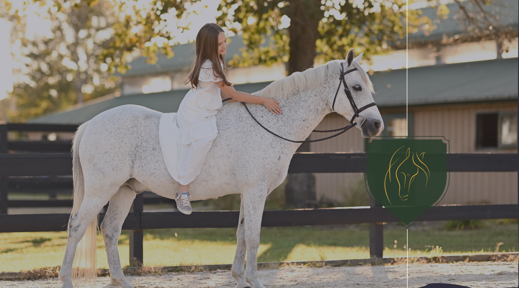 How to Spark a Love of Learning in Horse-Crazy Kids (Without a Real Horse!)