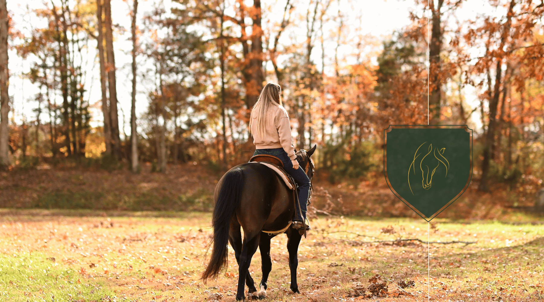 Building Trust and Credibility in Equine Health Education