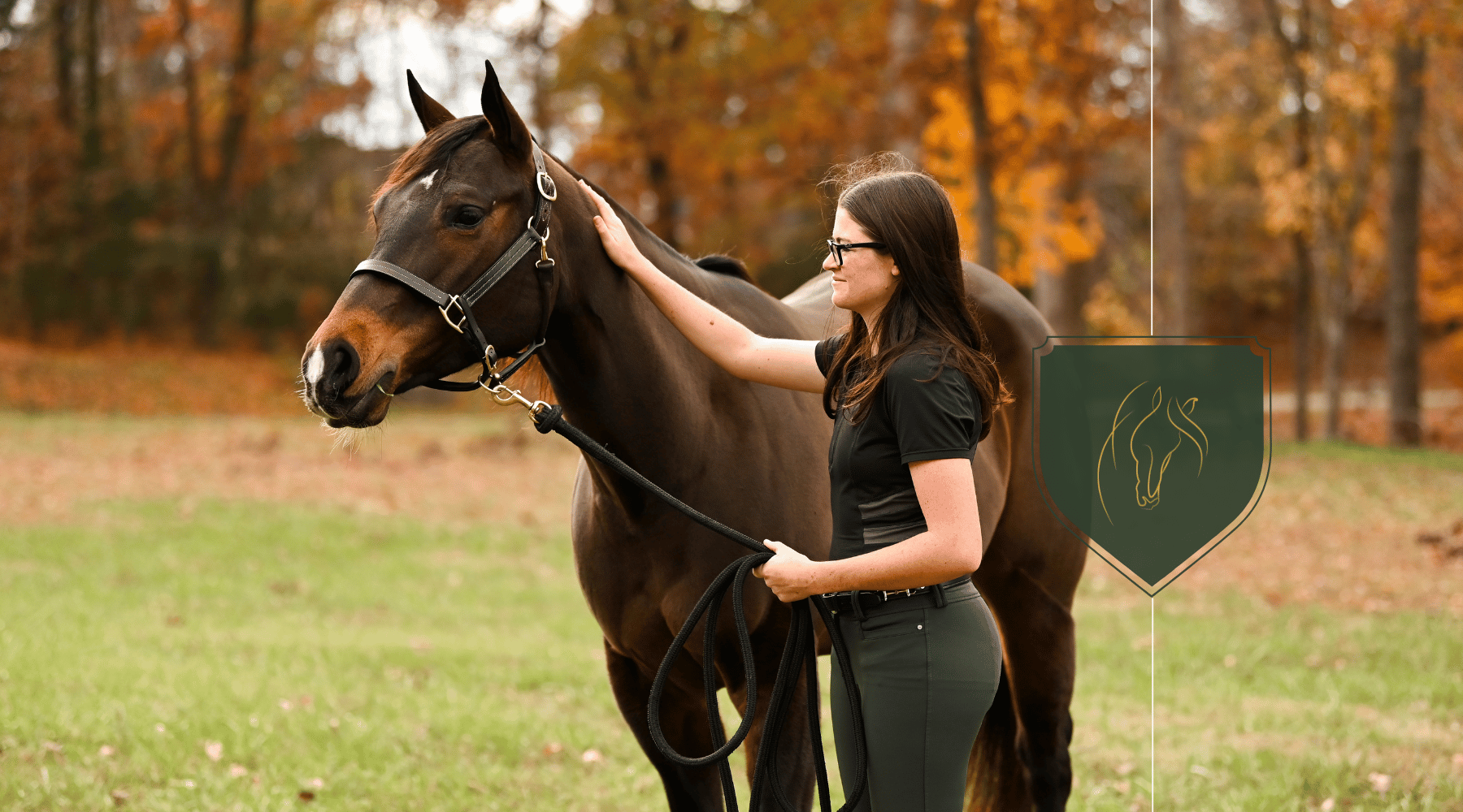 Strategies for Effective Client Communication in Equine Health