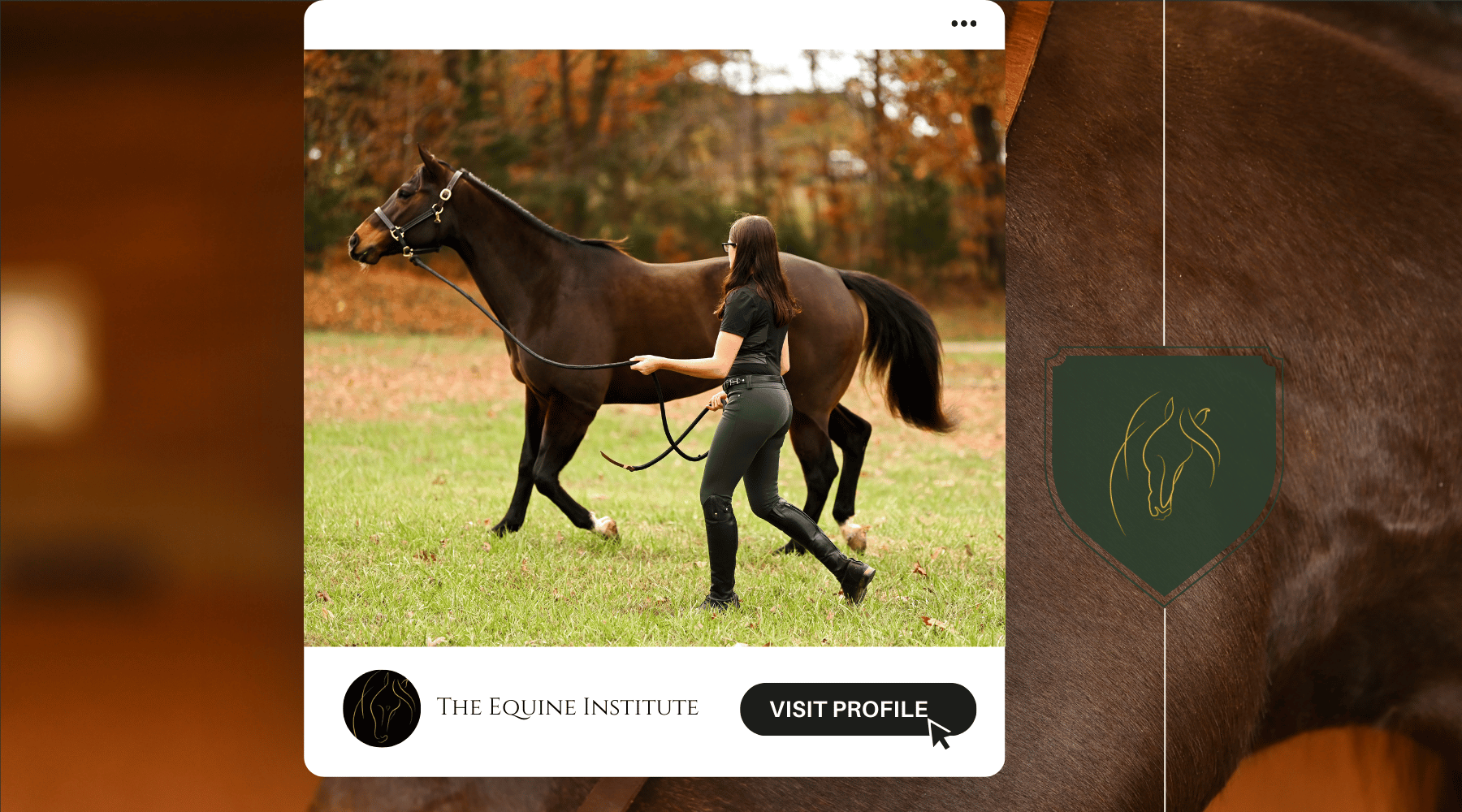 Crafting Compelling Content for Equine Health Education
