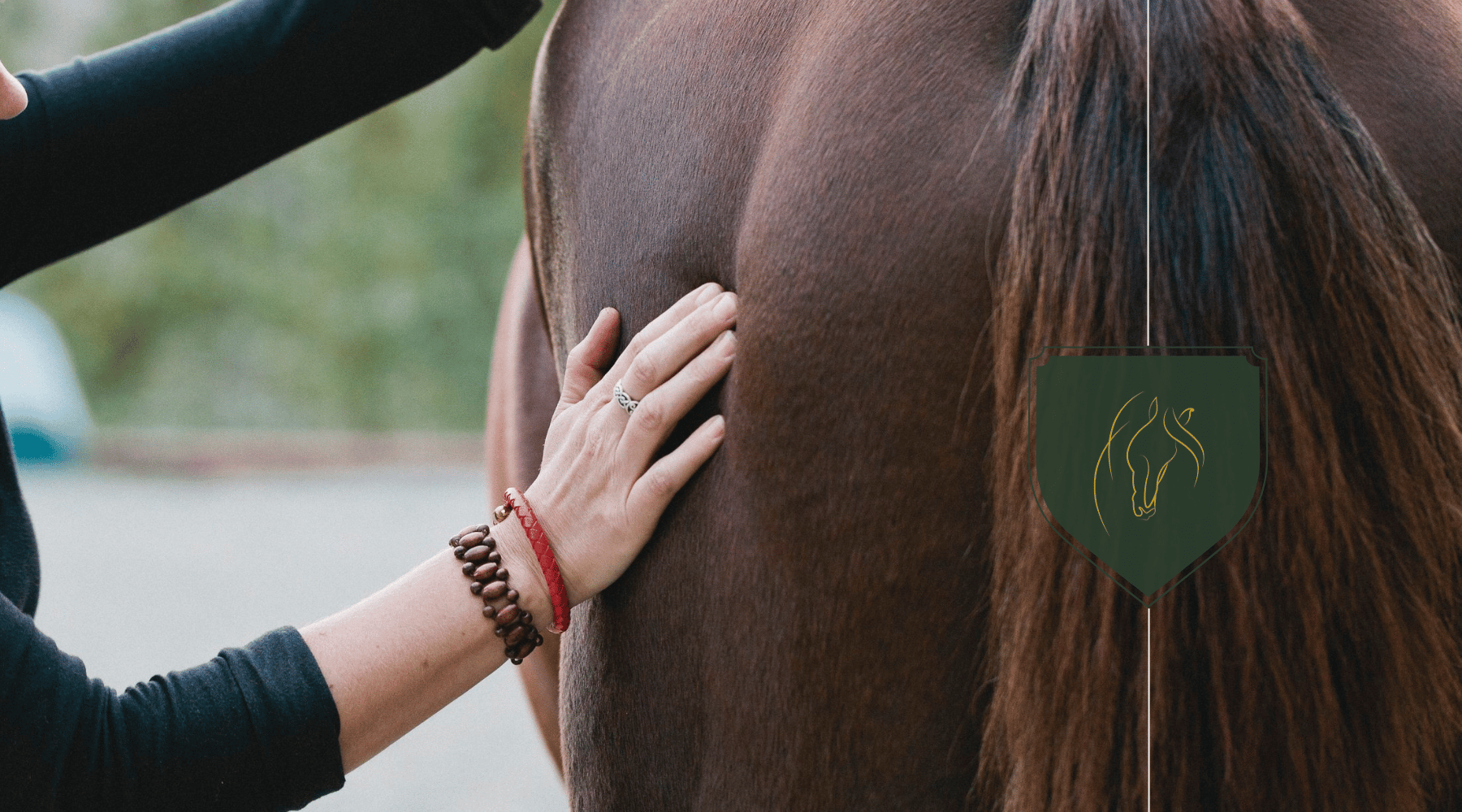 Applications of Equine Fascial Integration Therapy