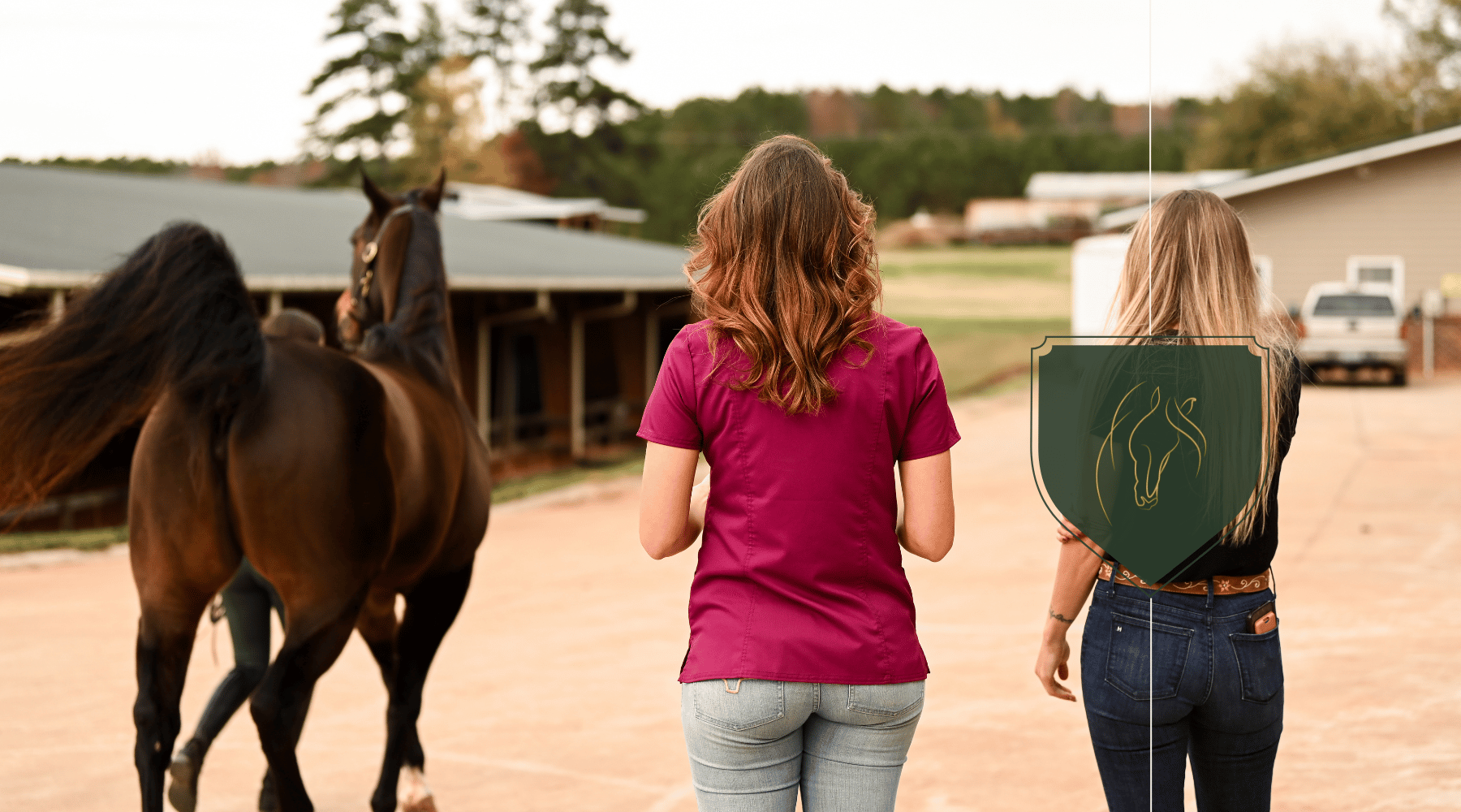 Scaling Your Equine Health Education Business: Challenges and Solutions