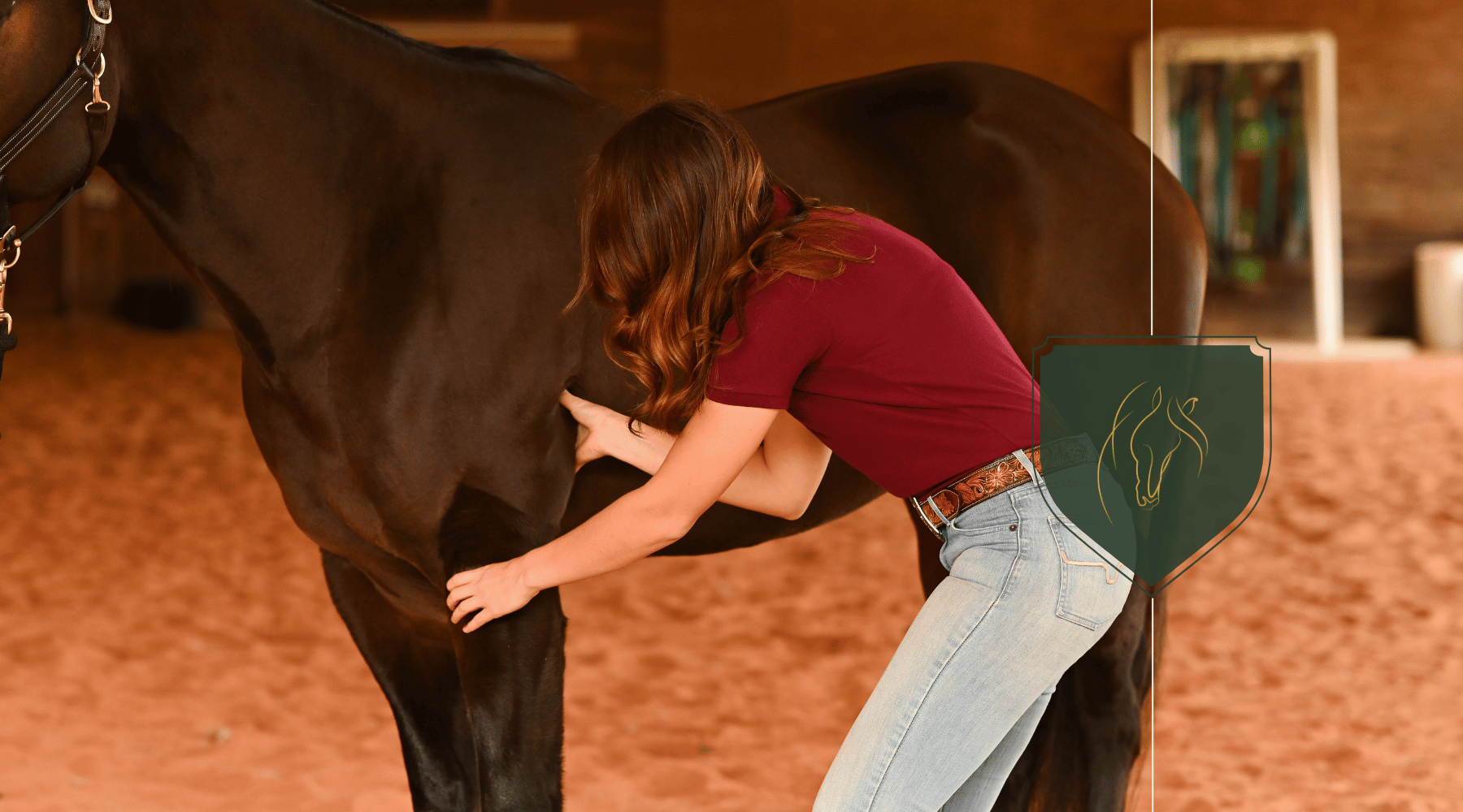 Fundamentals of Equine Fascial Integration