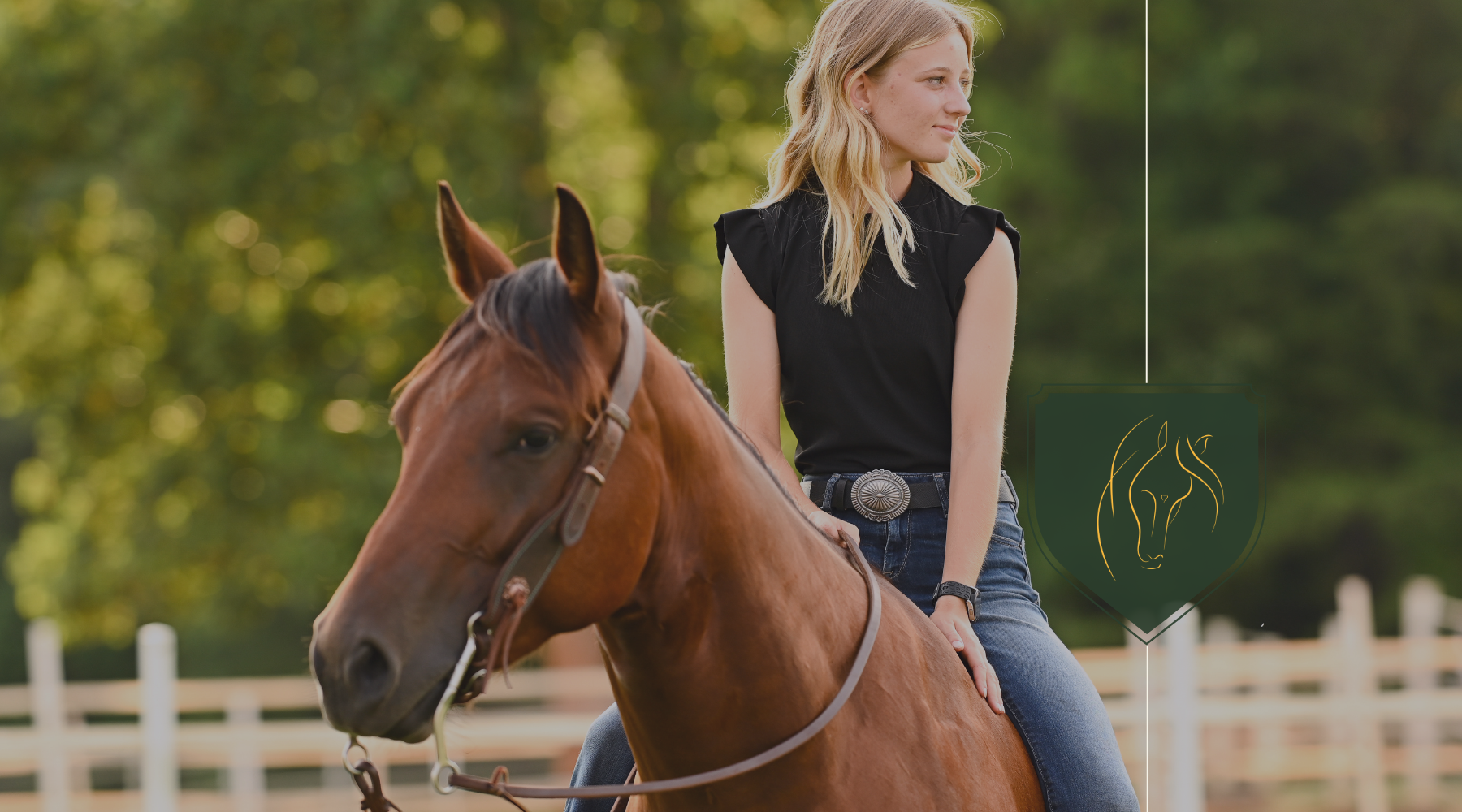 Texas TEFA Funds Can Pay for Equine Education: What Horse-Loving Students Need to Know