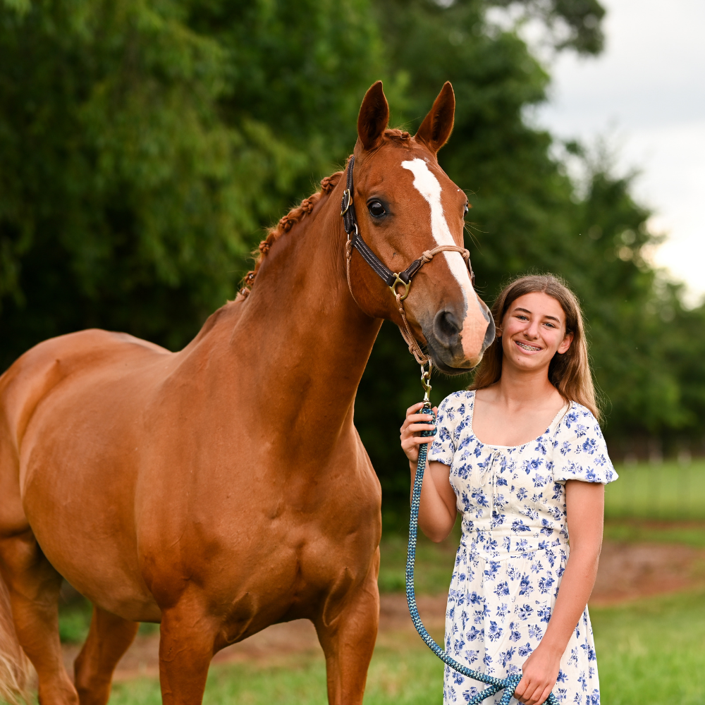 Equine Science for Homeschoolers | Self-Paced Online Courses