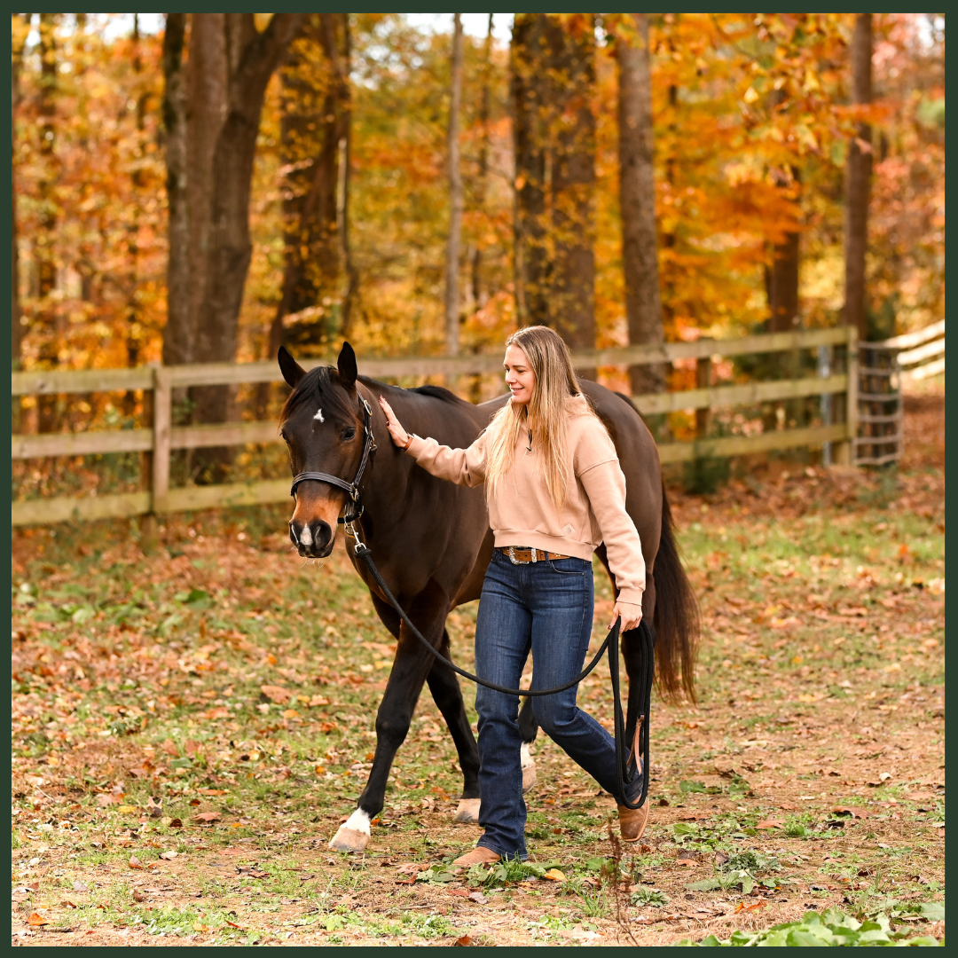 Equine Osteoarthritis Course for Horse Owners