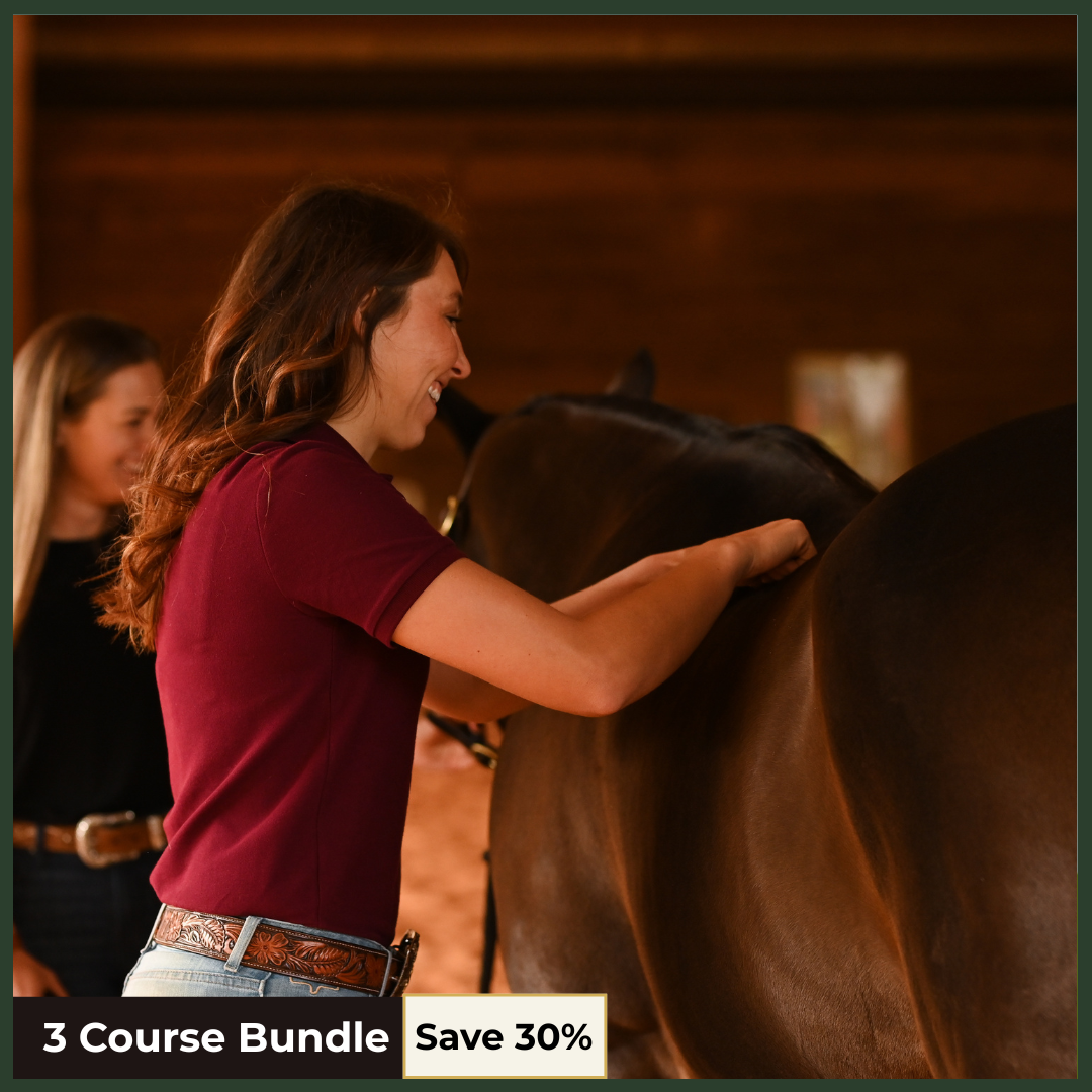 Equine Bodywork in Practice: Techniques, Assessment and Application