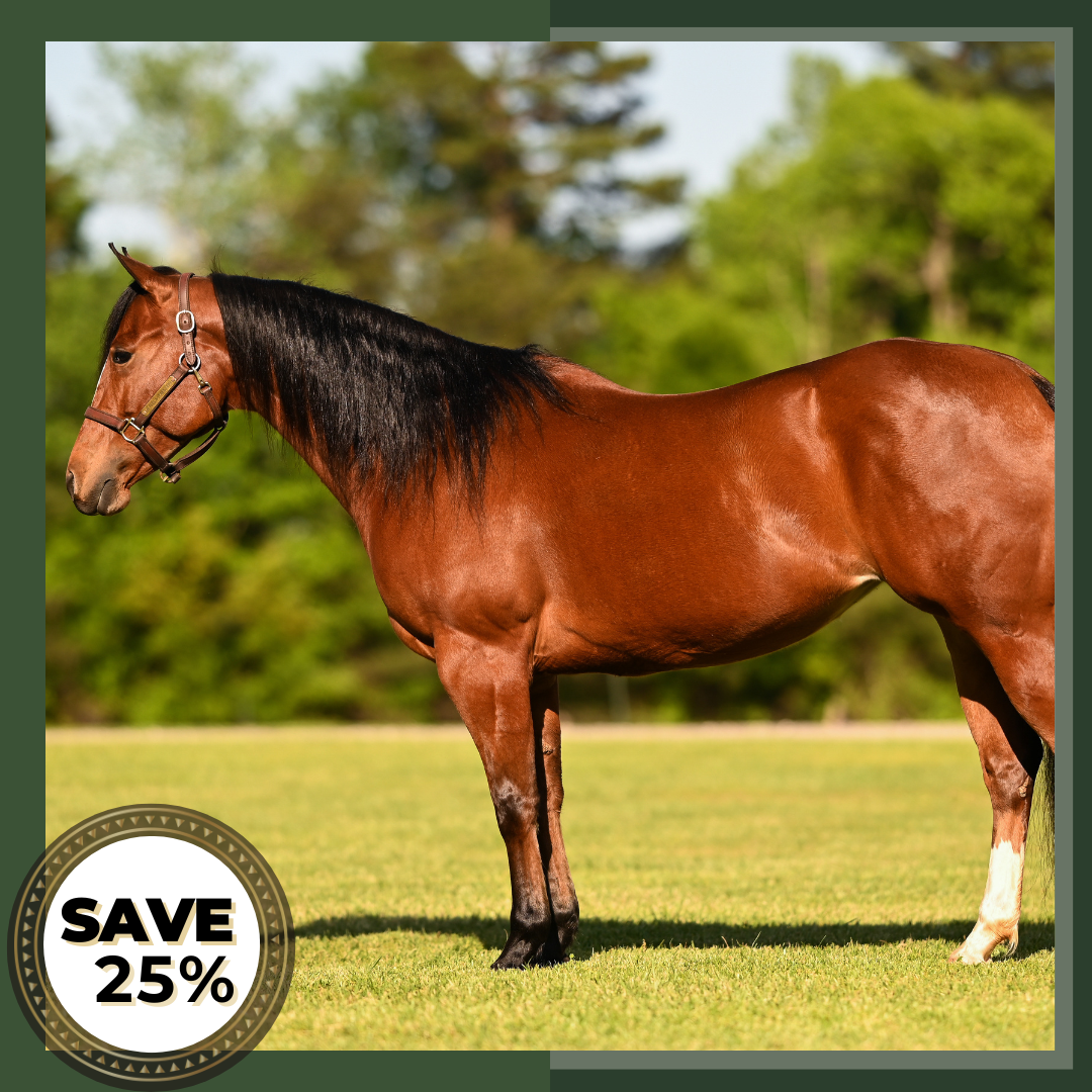Equine Anatomy, Structure & Movement Pro Bundle