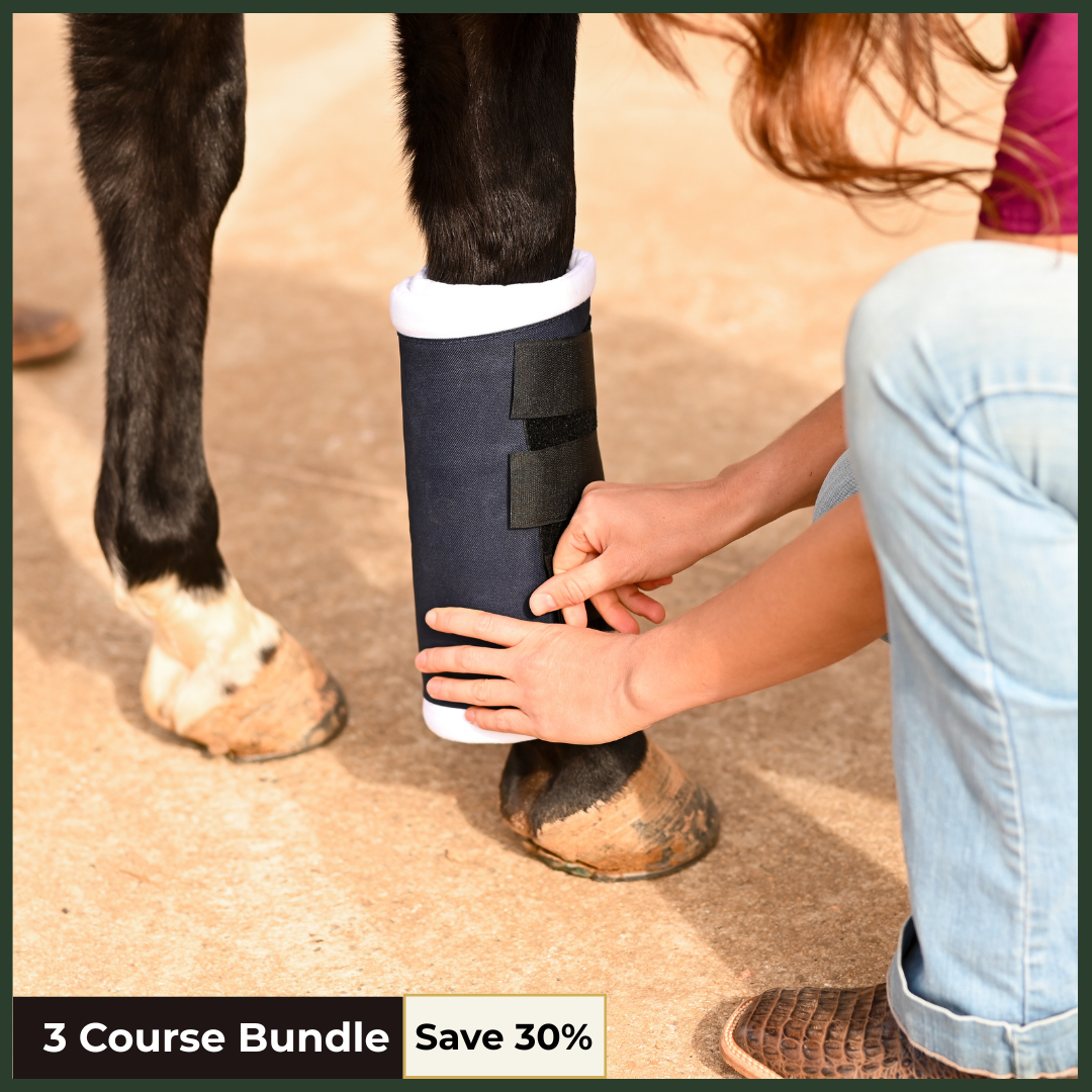 Equine Emergency & Disease Response Bundle