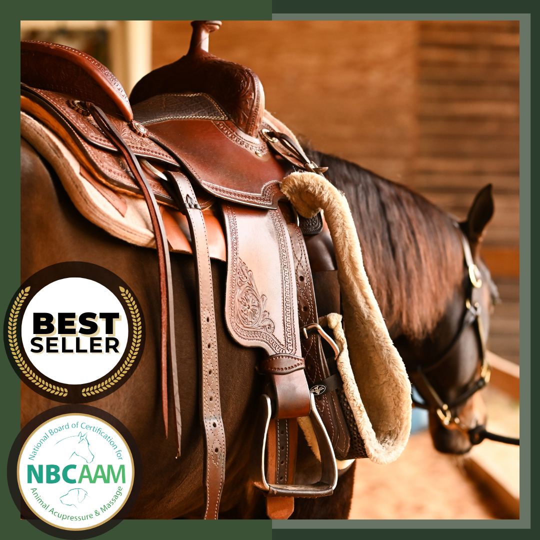 Fundamentals of Horse Breeds and Equestrian Disciplines: Understanding Horse Characteristics and Skills