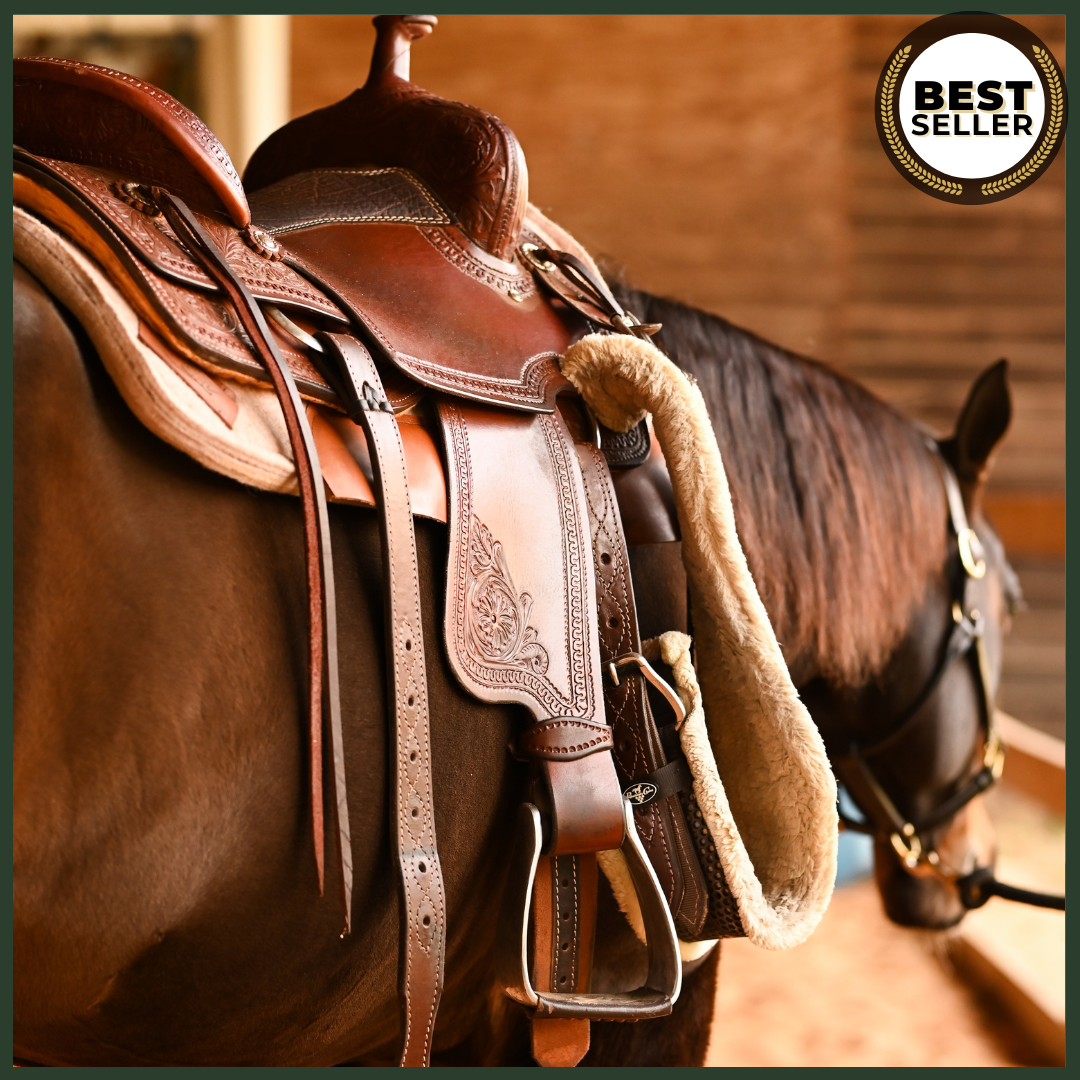 Fundamentals of Horse Breeds and Equestrian Disciplines: Understanding Horse Characteristics and Skills