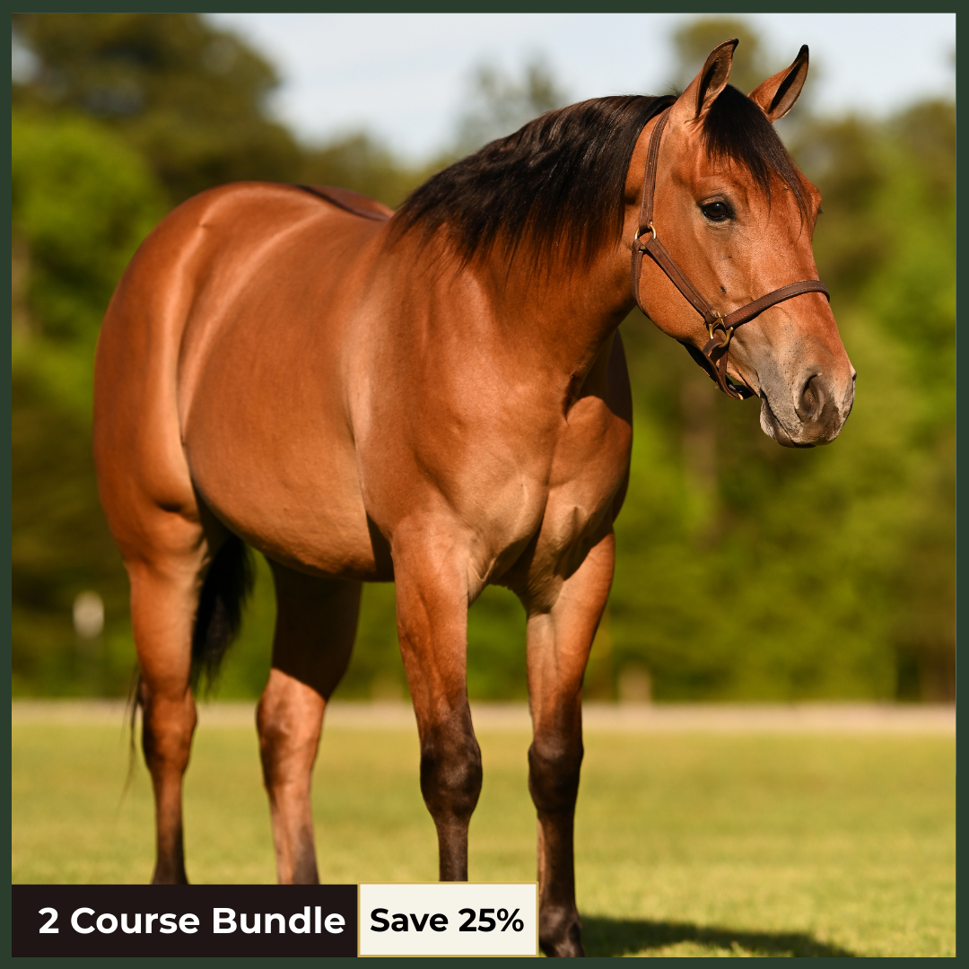 Equine Conformation & Biomechanics Bundle
