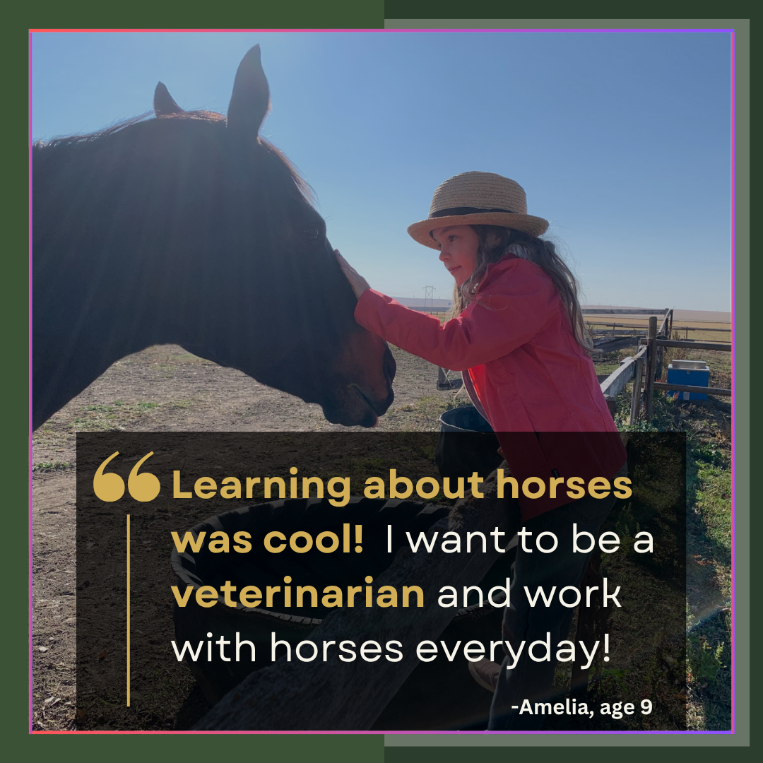 HomeSchool Online Equine Science Course Elementary horse learning