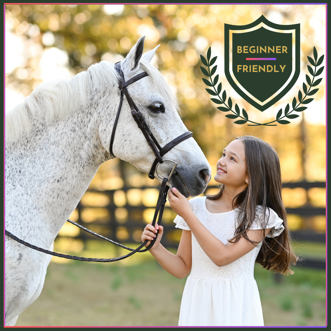 Young Horse Explorers Course