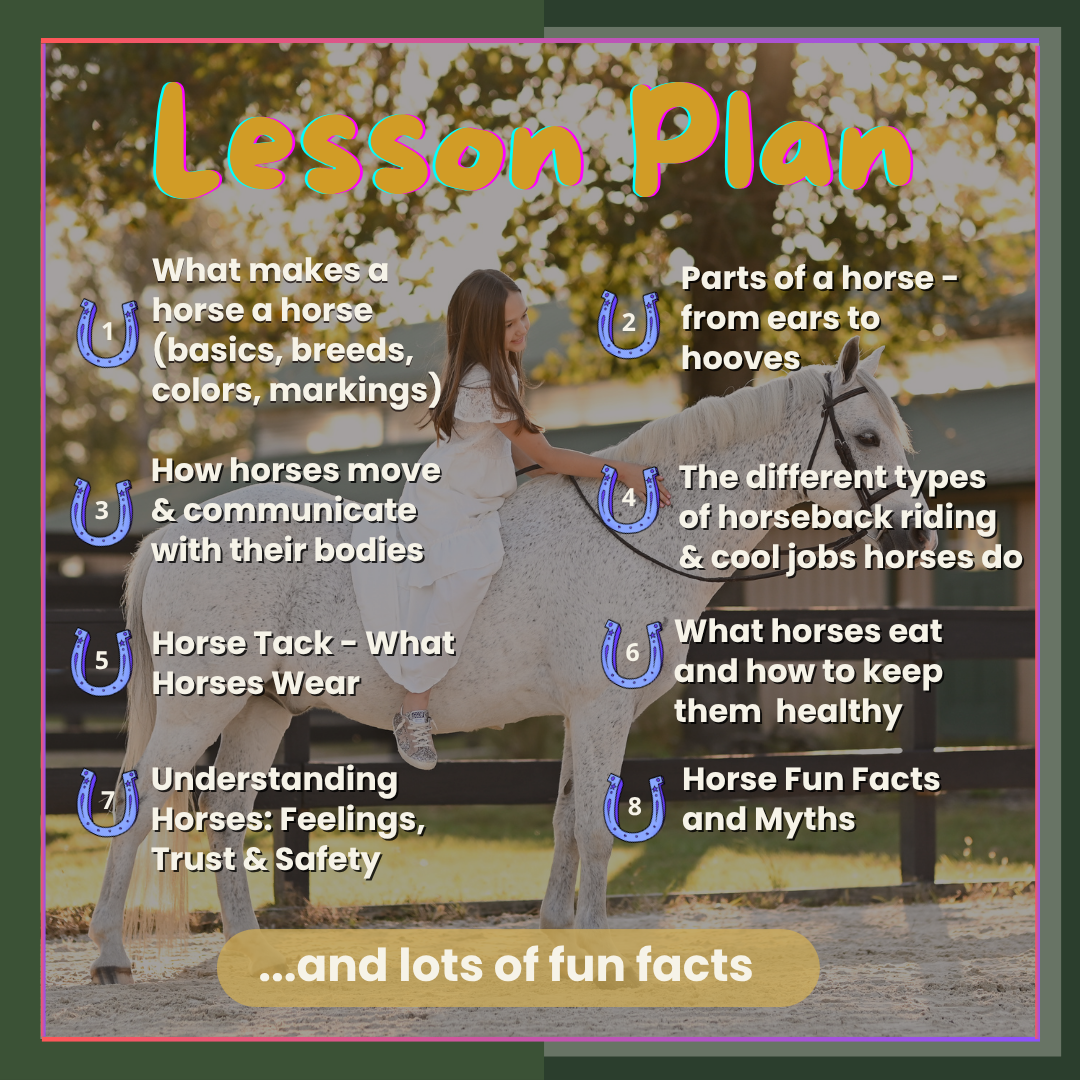 Home School Equine Science Course Online Young Student