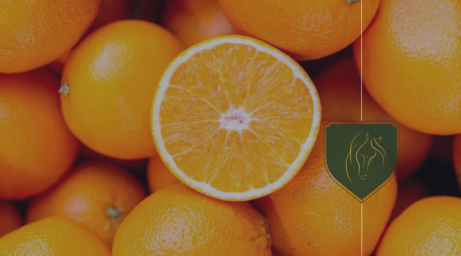 Can Horses Eat Oranges? Benefits, Risks, and Tips for Feeding