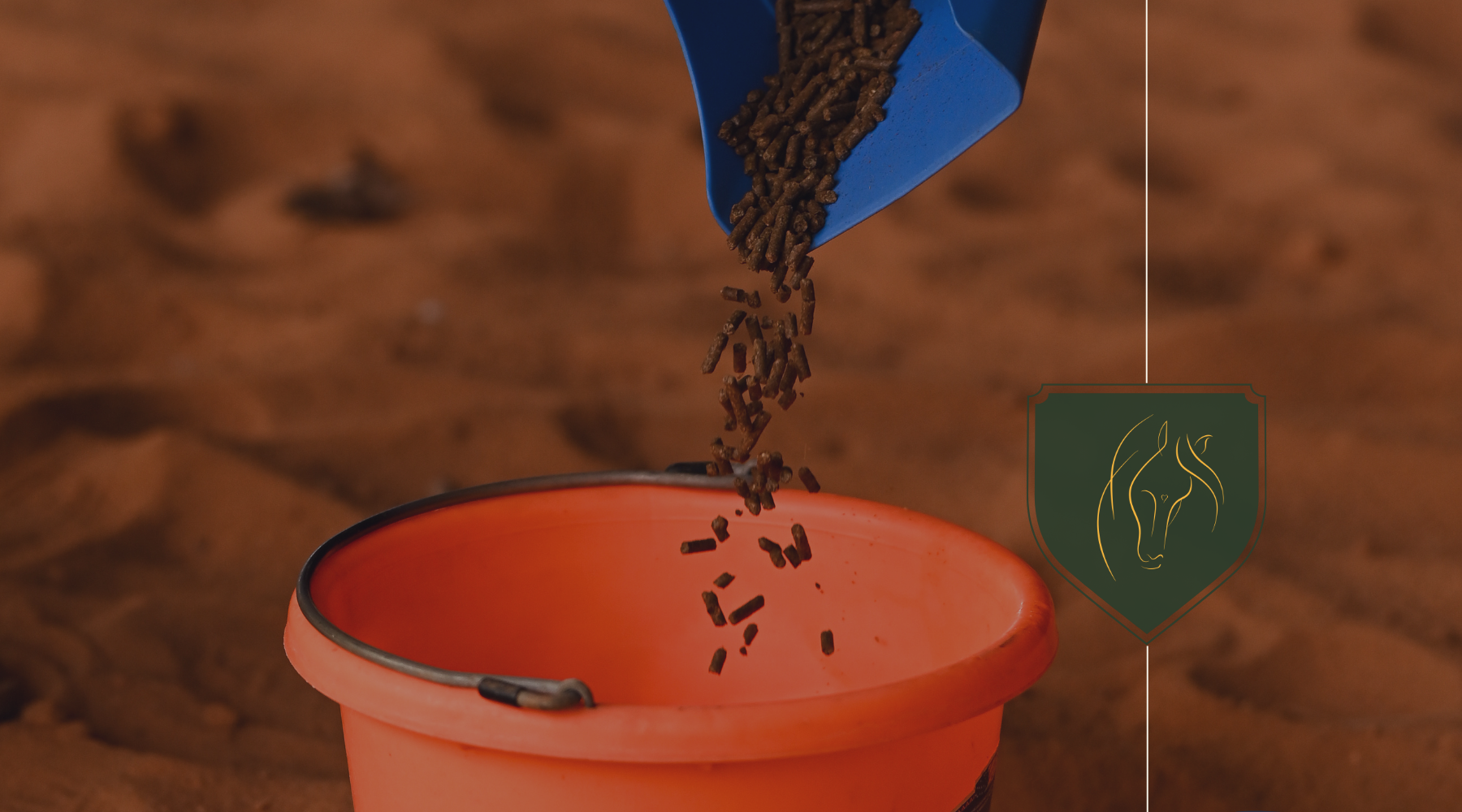 5 Equine Nutrition Myths That Could Be Harming Your Horse