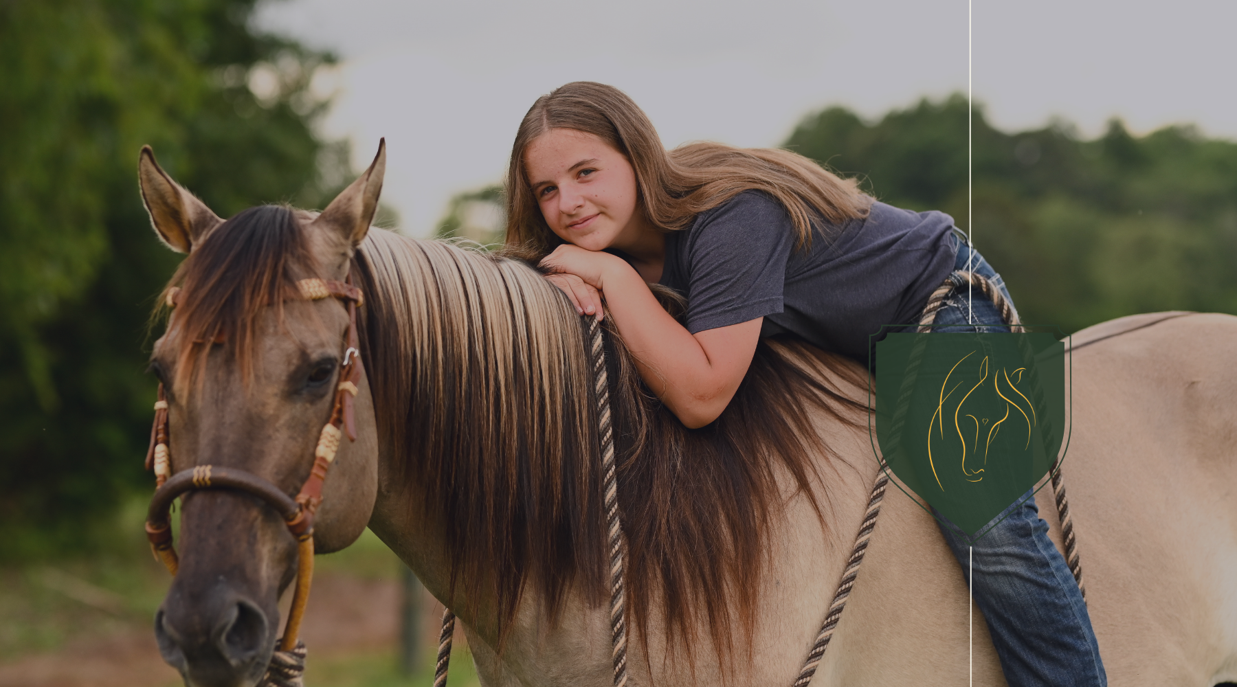 The Best Homeschool Curriculum for Horse-Loving Students