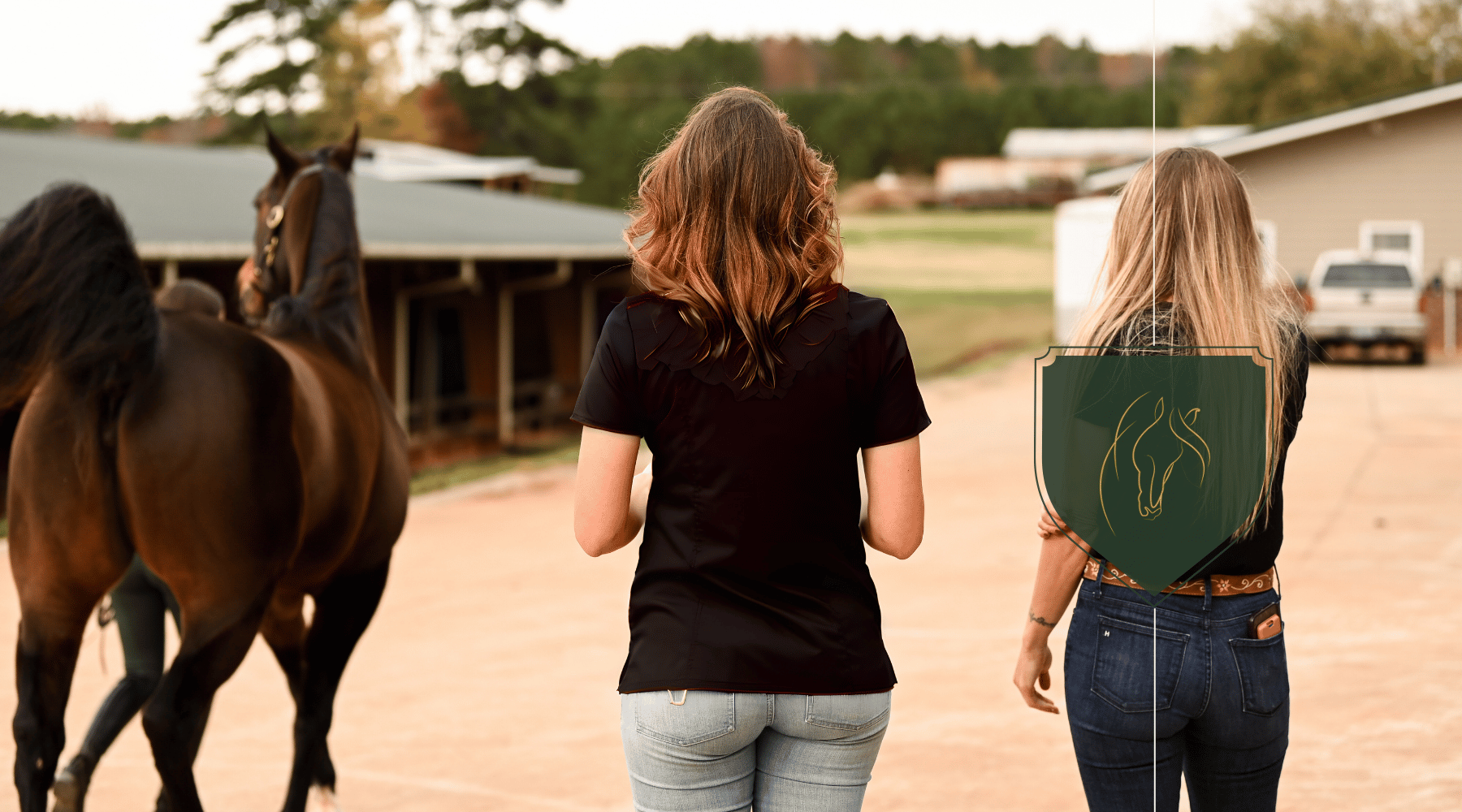 Expert Guide: Partnerships in Equine Health Education