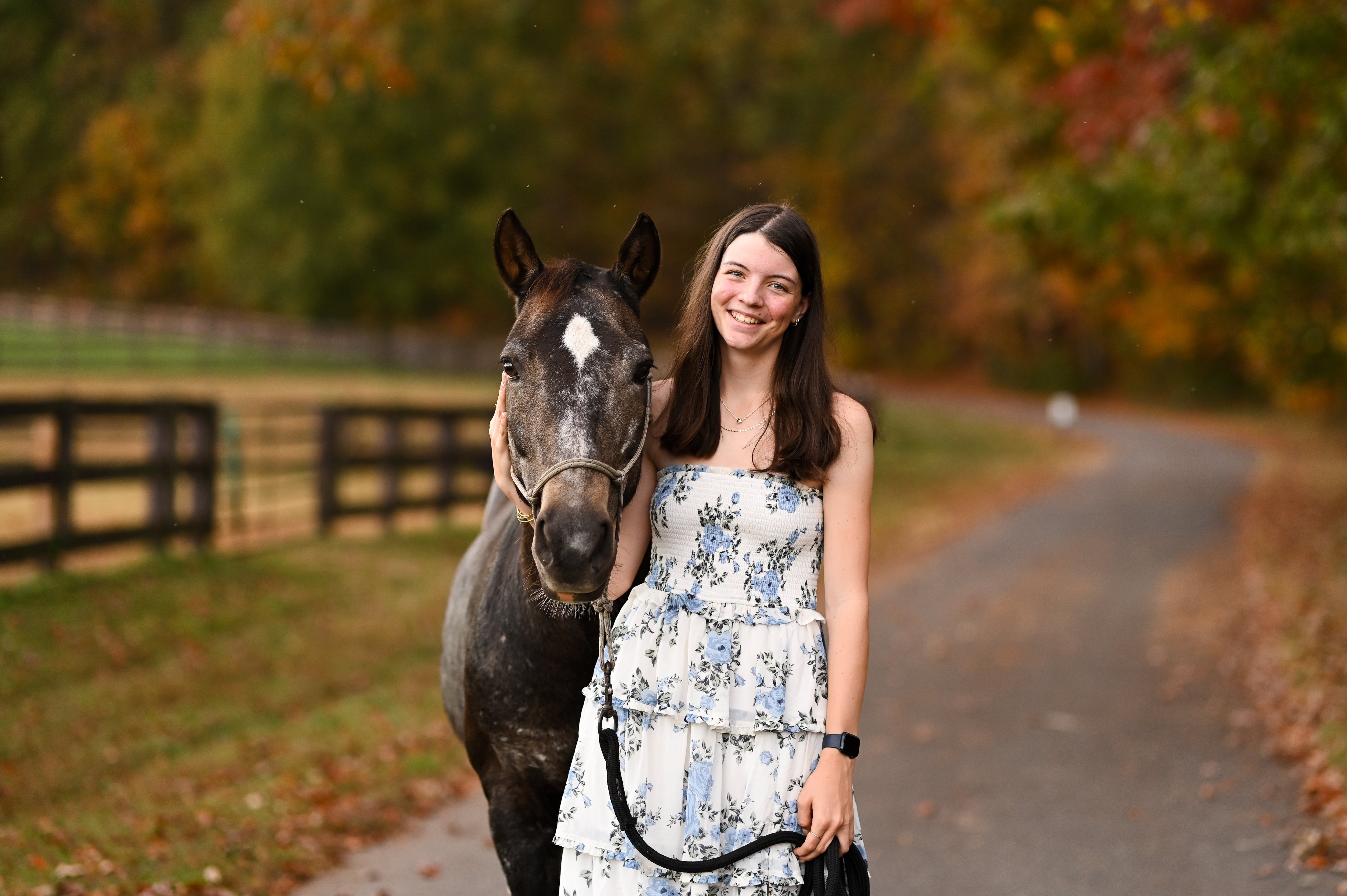 Equine Science for Homeschoolers | Self-Paced Online Courses