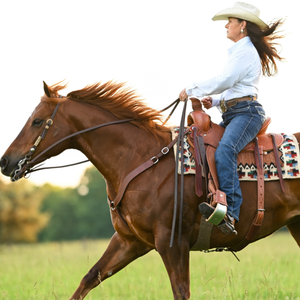 Equine Facility Management & Horse Care Staff Training Courses