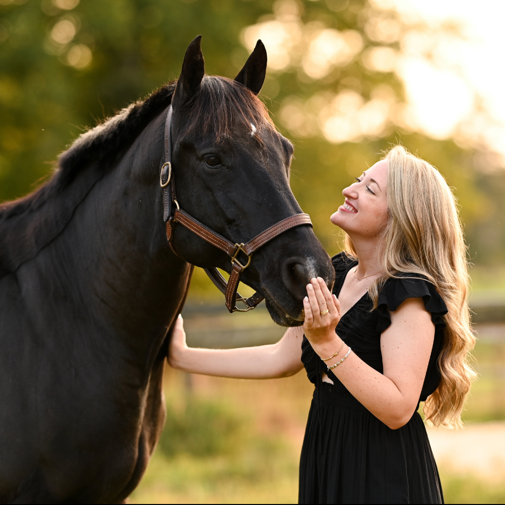 Courses for Horse Owners