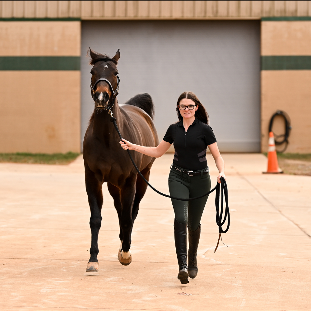 Equine Science Courses for Vet Techs