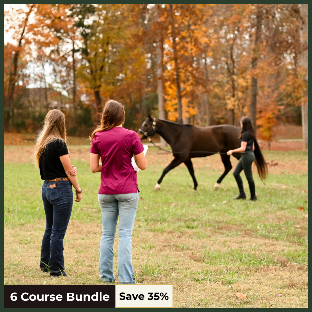 Advanced Equine Vet Technicians Bundle Pt. 2