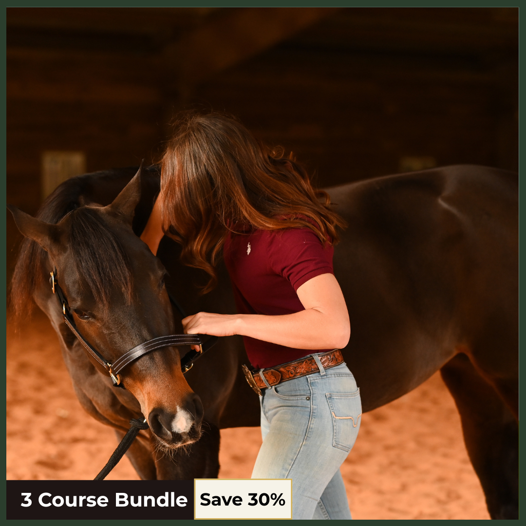 Equine Bodywork Foundations: Anatomy, Movement and Safety