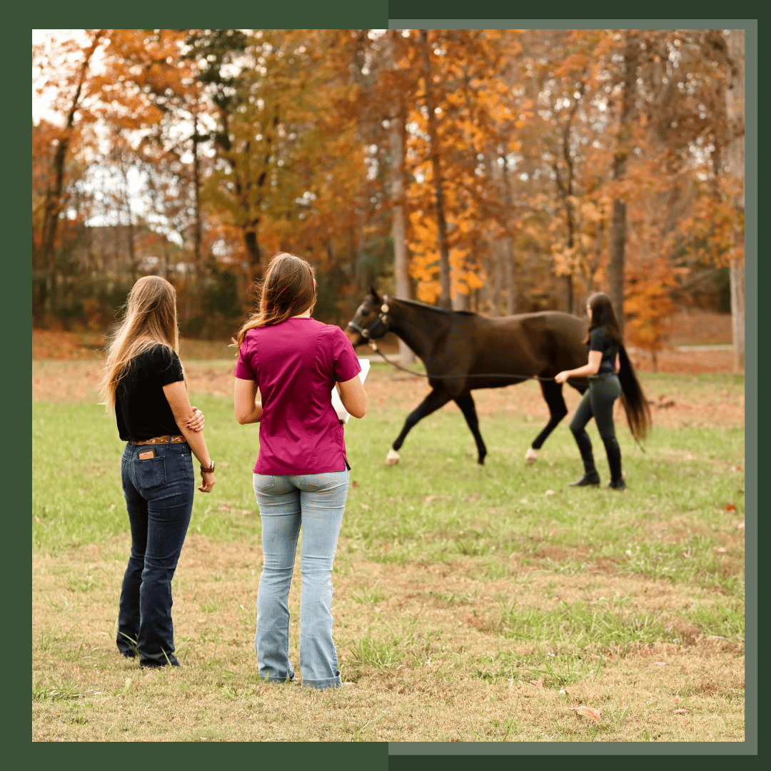 Bundle: Advanced Equine Vet Technicians Pt. 2