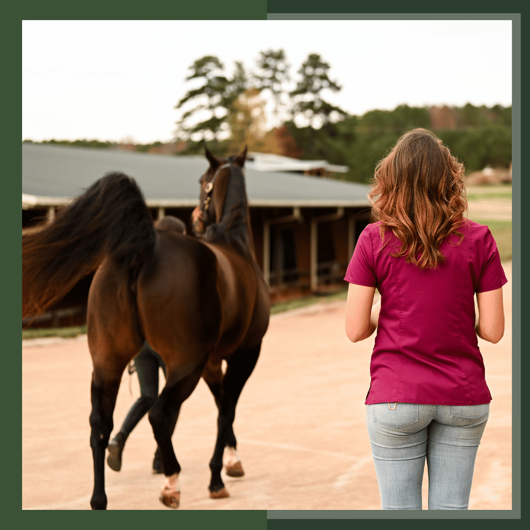 RACE I and II Continuing Education Bundle for Equine Vet Techs