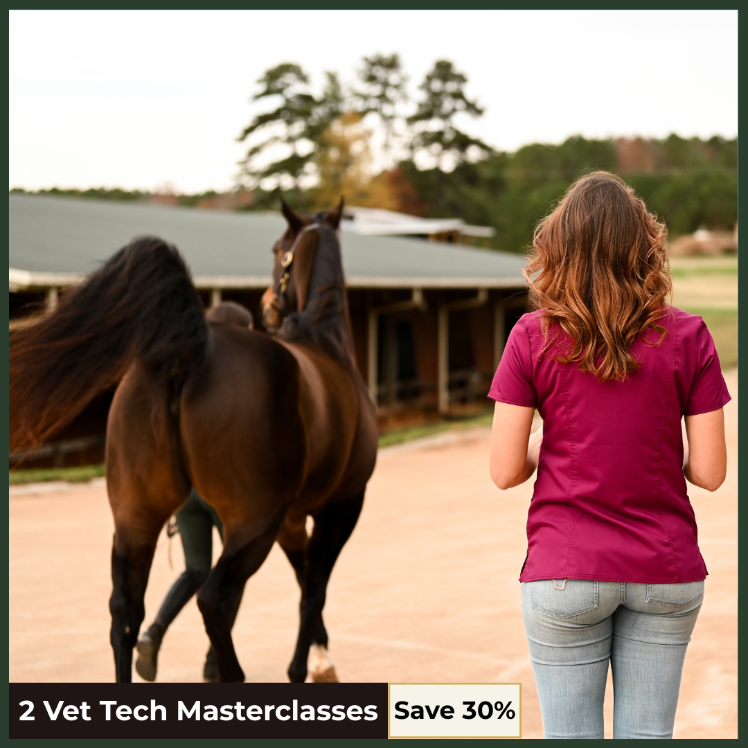 RACE I and II Continuing Education Bundle for Equine Vet Techs