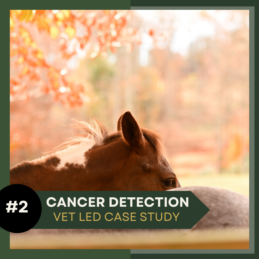 Equine Case Study 2: Cancer Detection & Decision-Making in the Field