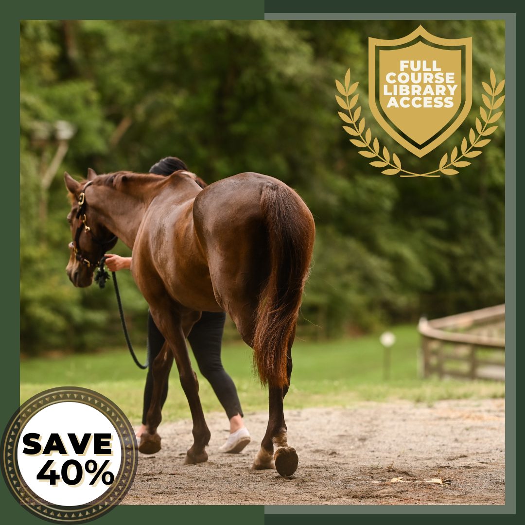 Equine Institute: The Complete Learning Library