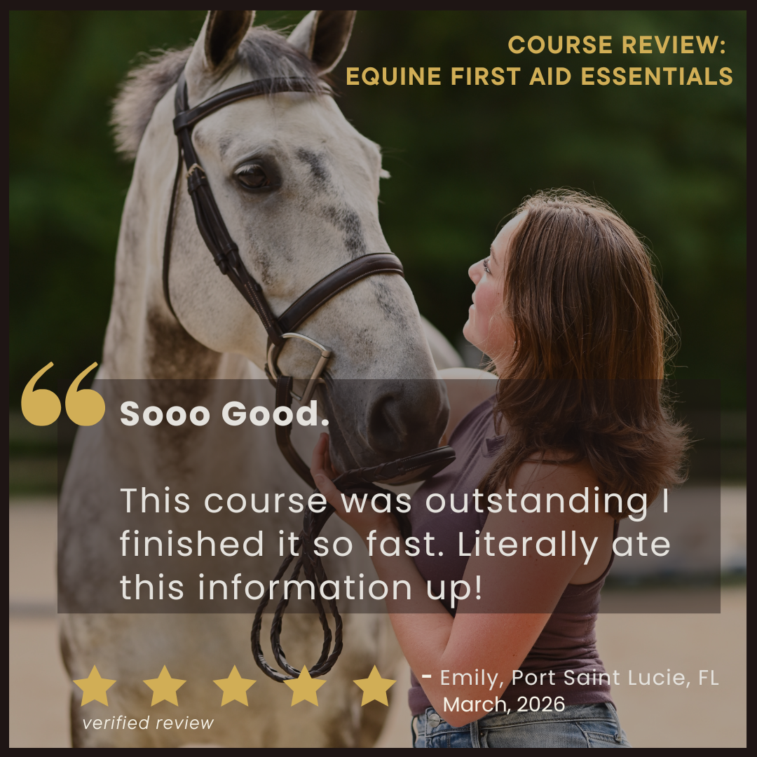 Equine First Aid Essentials: Emergency Care for Horse Owners