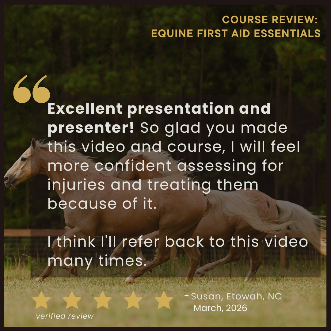 Equine First Aid Essentials: Emergency Care for Horse Owners