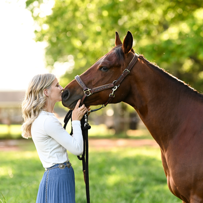 Find My Equine Science Course | The Equine InstituteEquine Science Course
