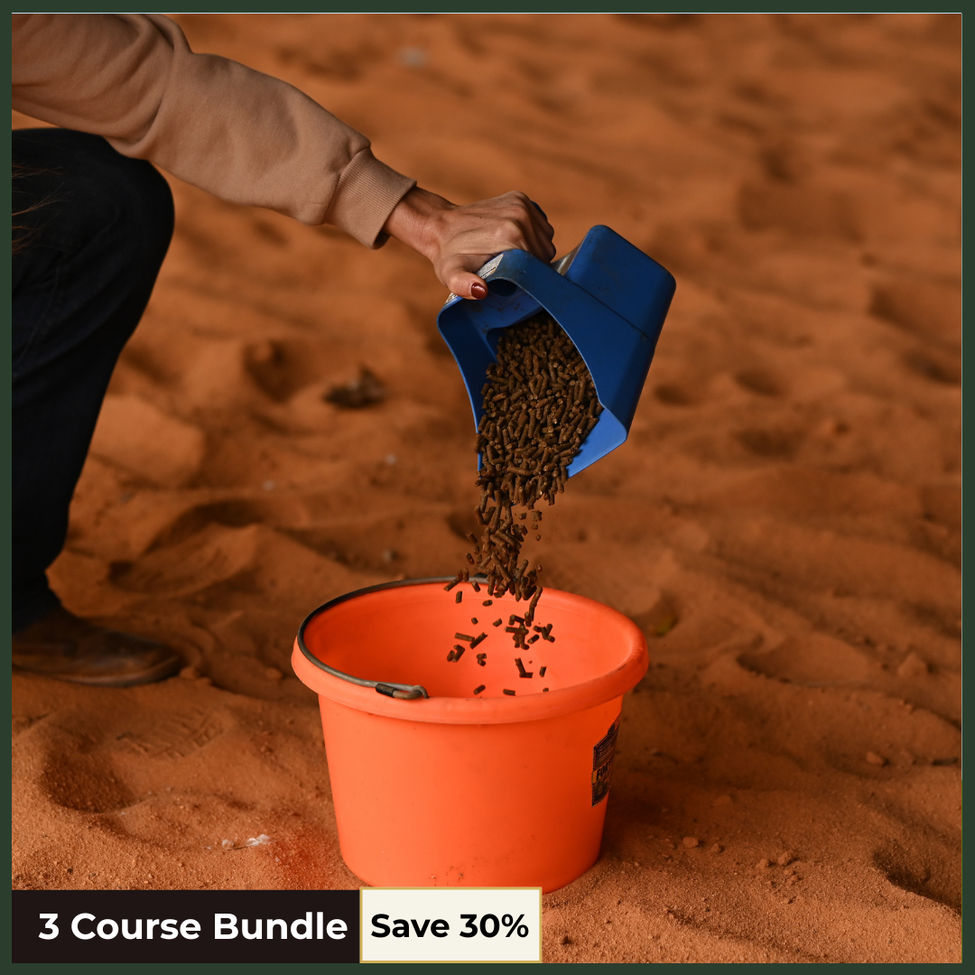 Equine Nutrition & Digestive Health Bundle